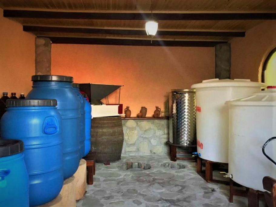 Guesthouse Lilia &Wine Celler Telavi Exteriér fotografie